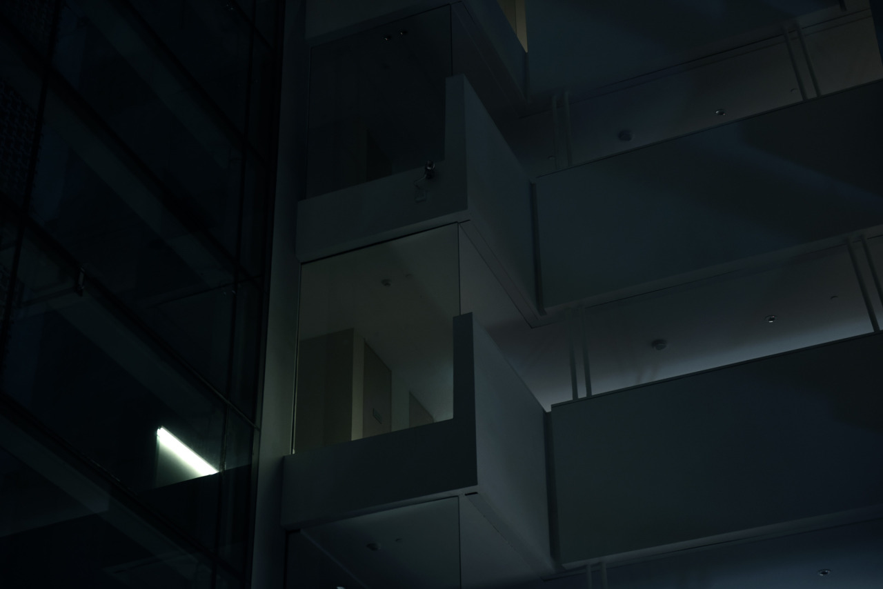 Archillect ID 81194