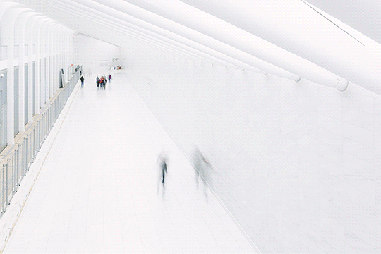 Archillect ID 81275