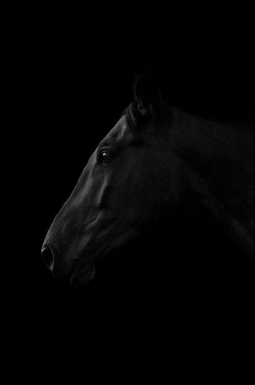 Archillect ID 81277