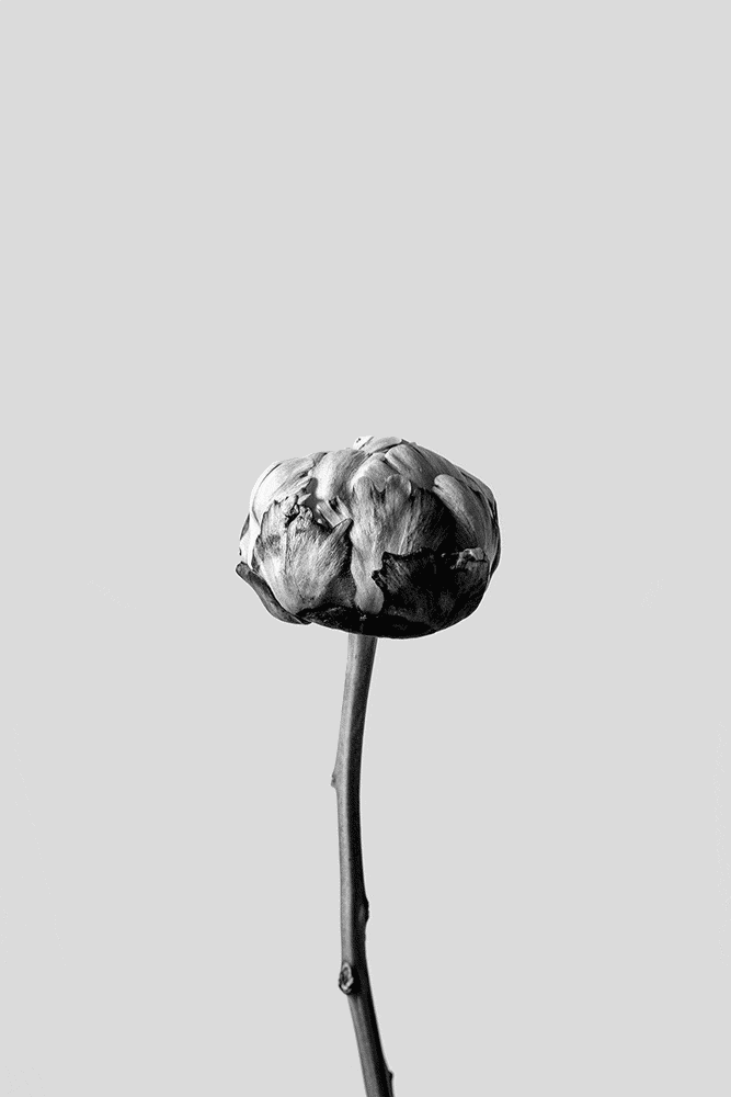 Archillect ID 81319