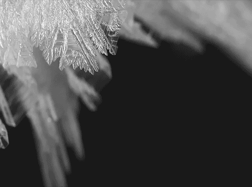 Archillect ID 81331