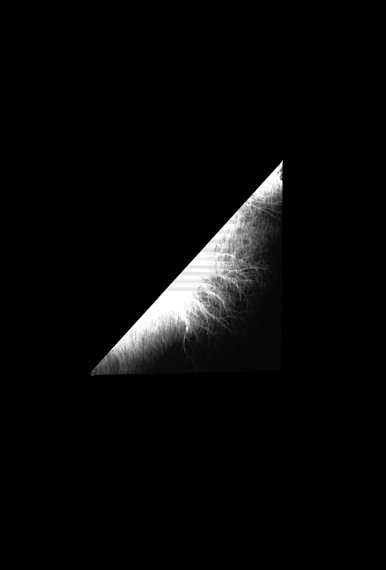 Archillect ID 81369
