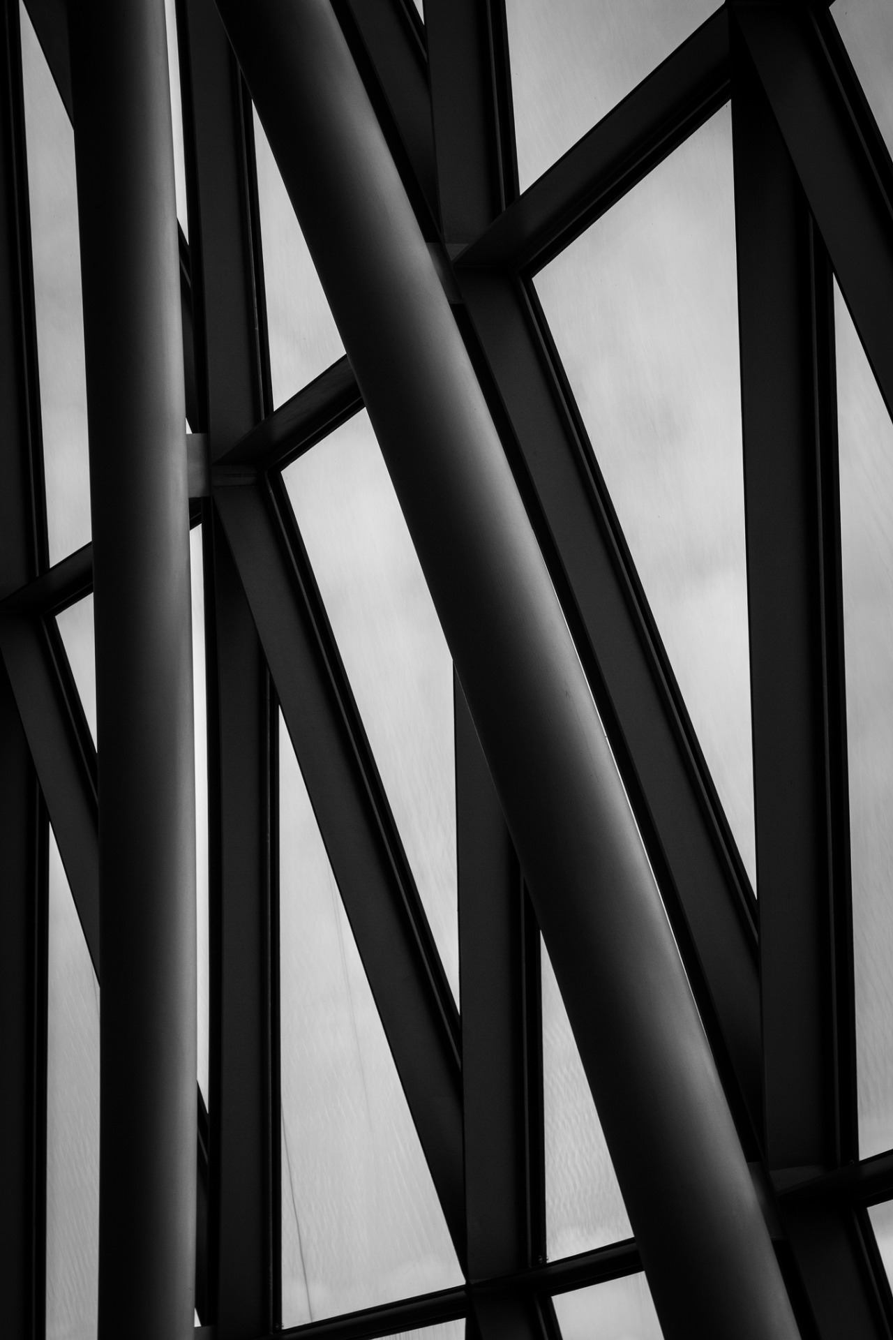Archillect ID 81442