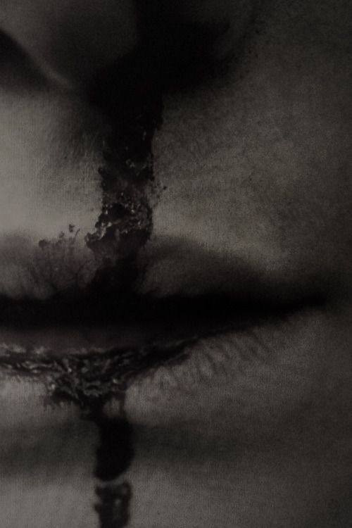 Archillect ID 81466