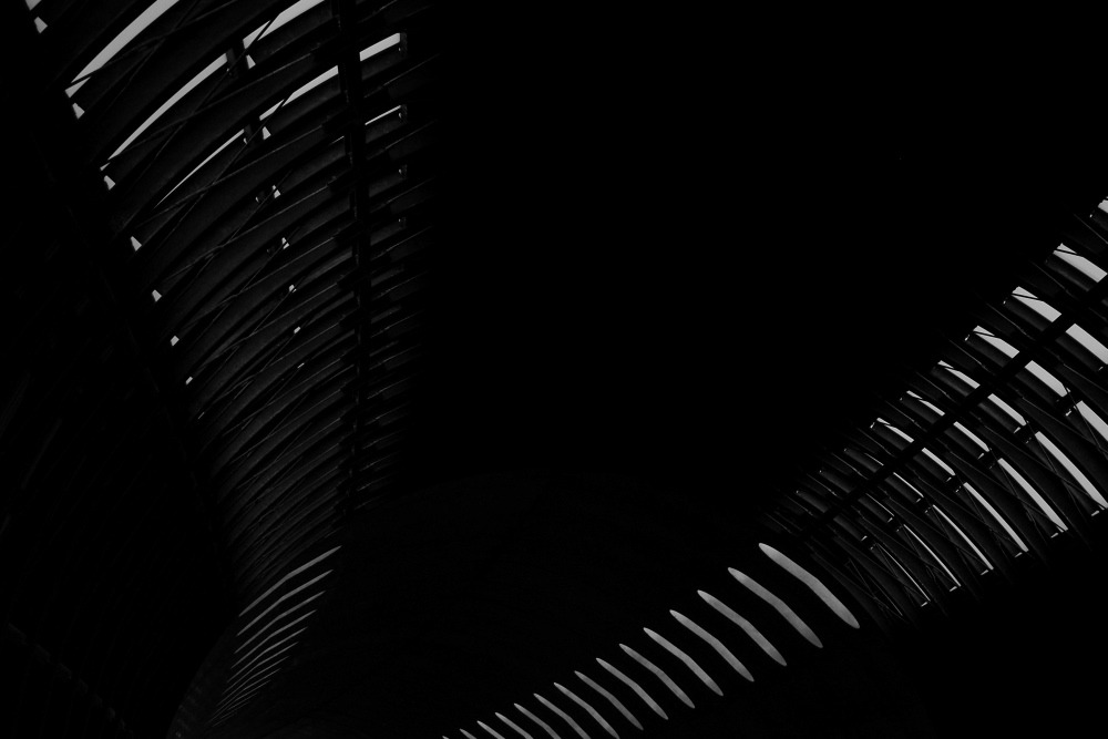 Archillect ID 81589