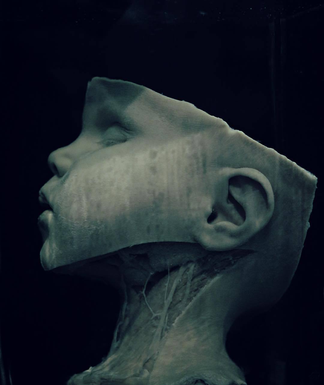 Archillect ID 81653