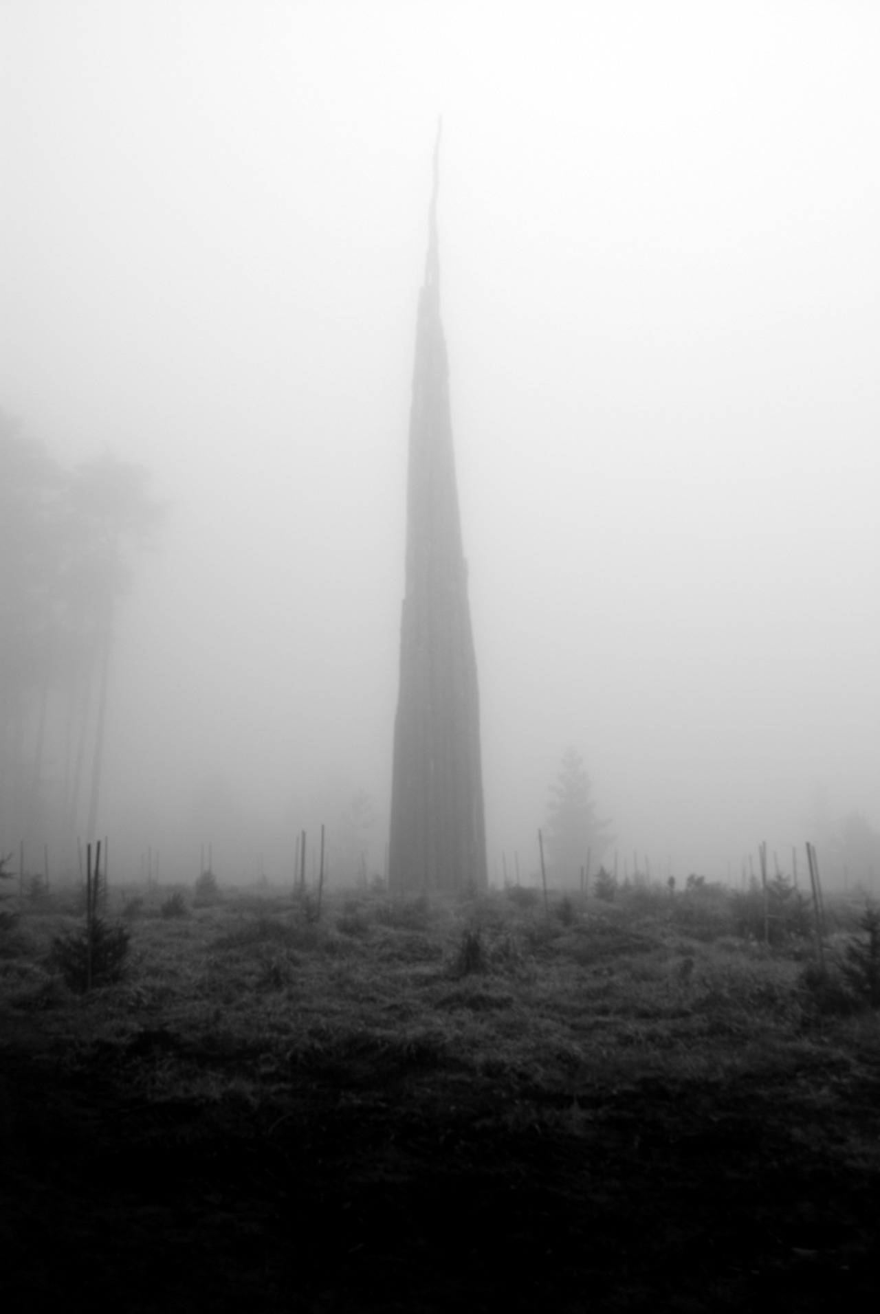 Archillect ID 81664