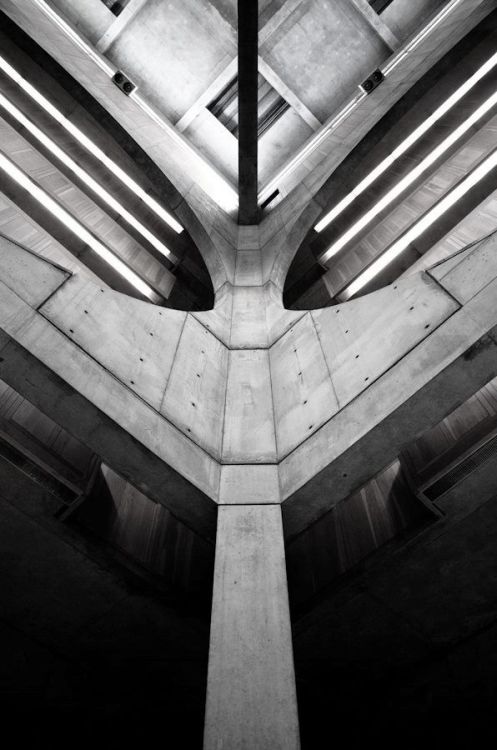 Archillect ID 81770