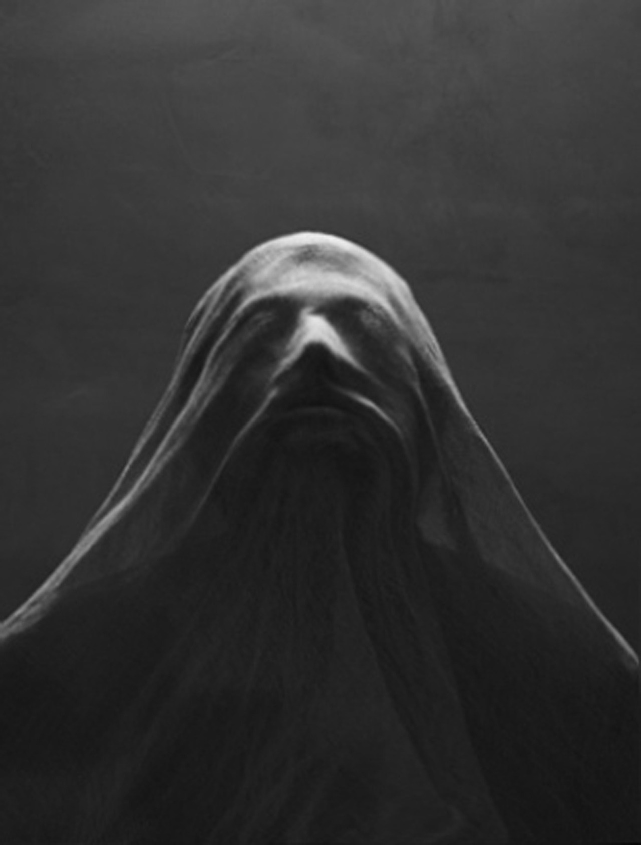 Archillect ID 81772