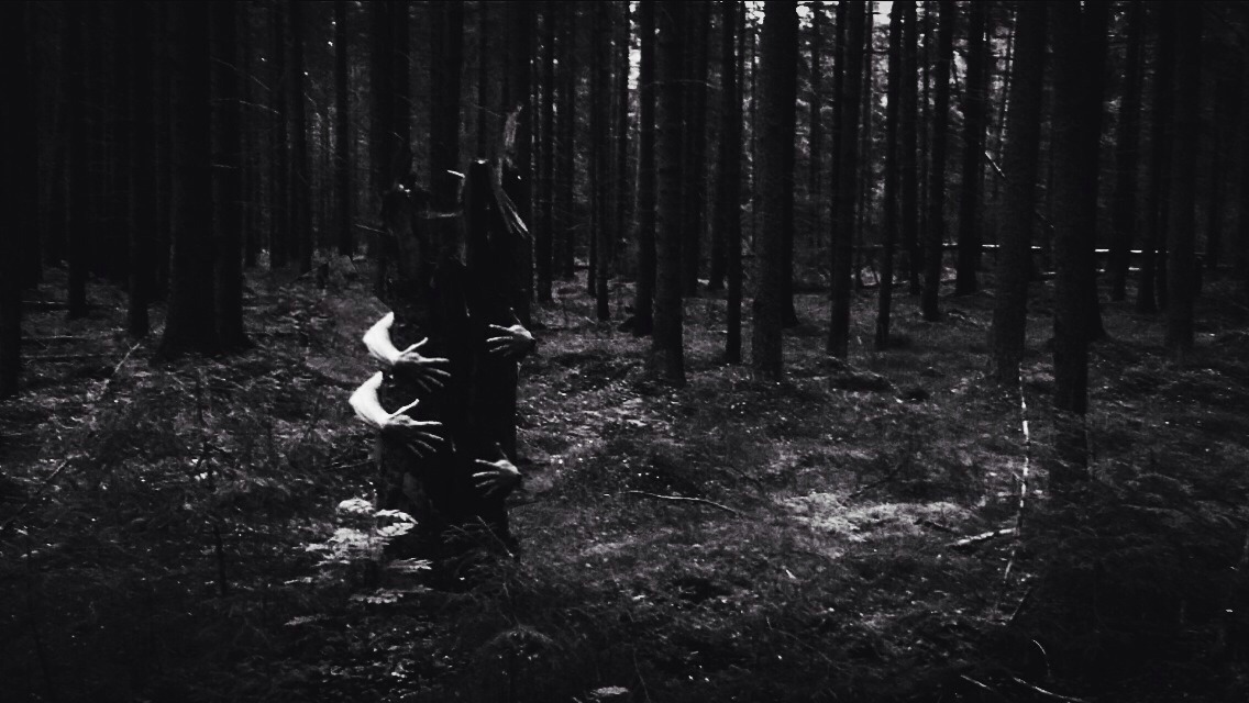 Archillect ID 81841