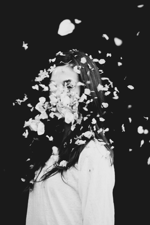 Archillect ID 81850
