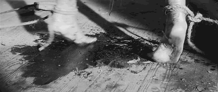 Archillect ID 81853