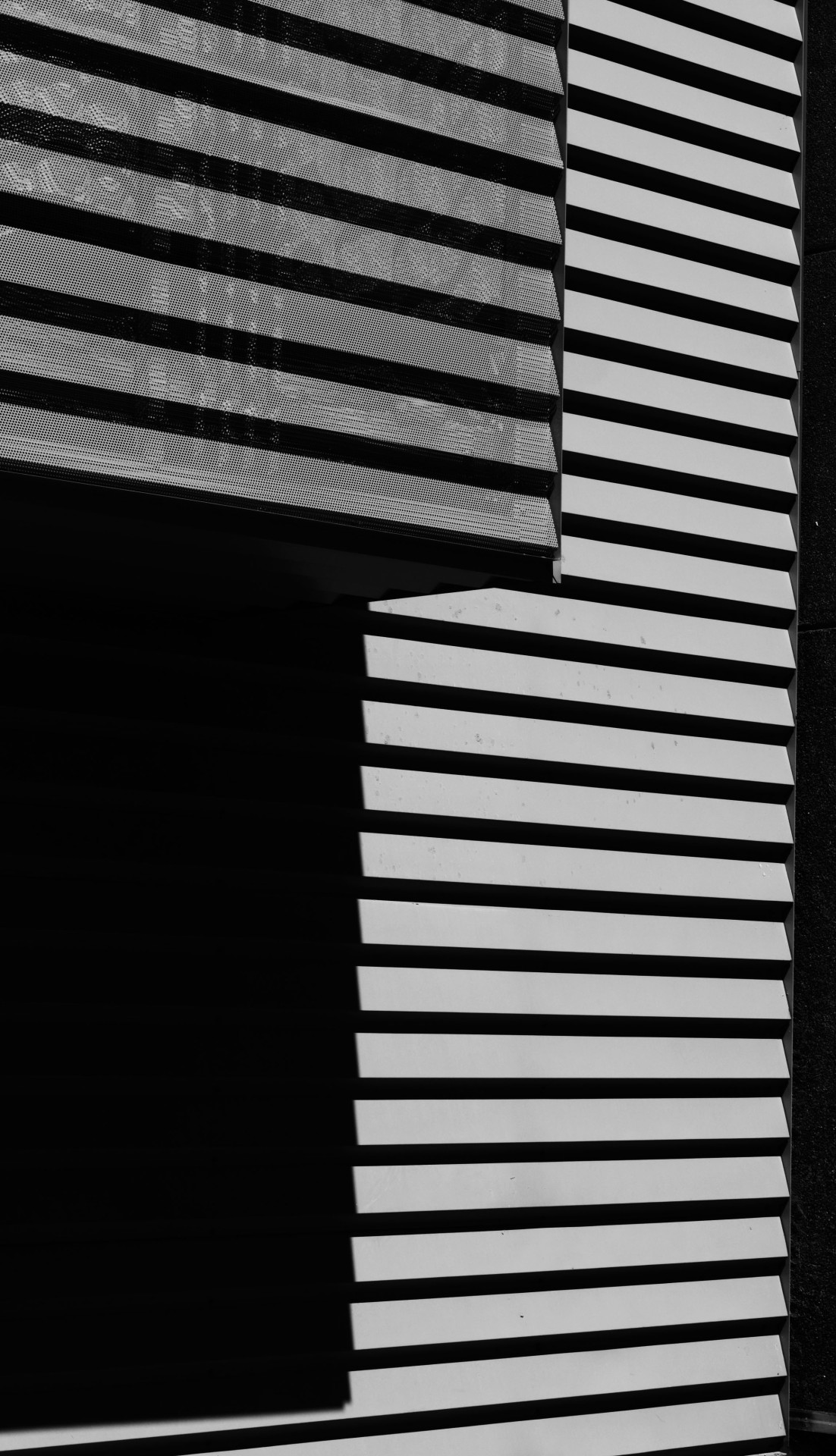 Archillect ID 81923