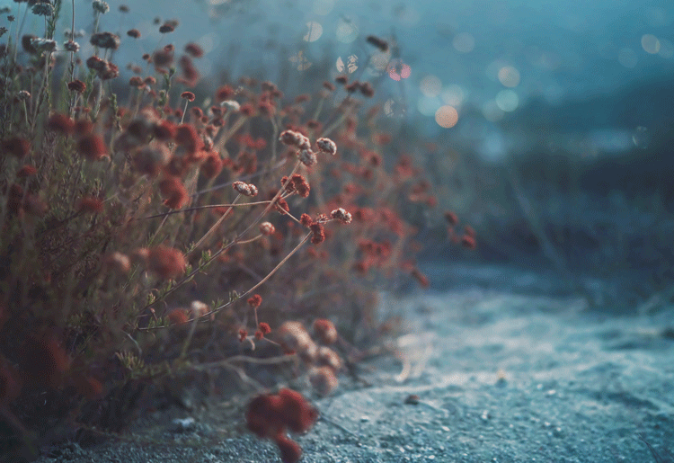 Archillect ID 82074