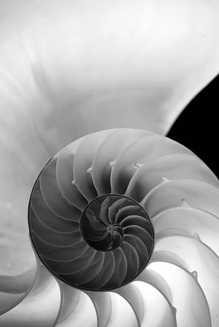 Archillect ID 82151