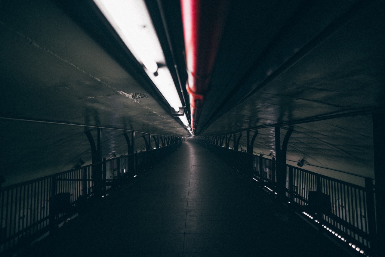 Archillect ID 82273