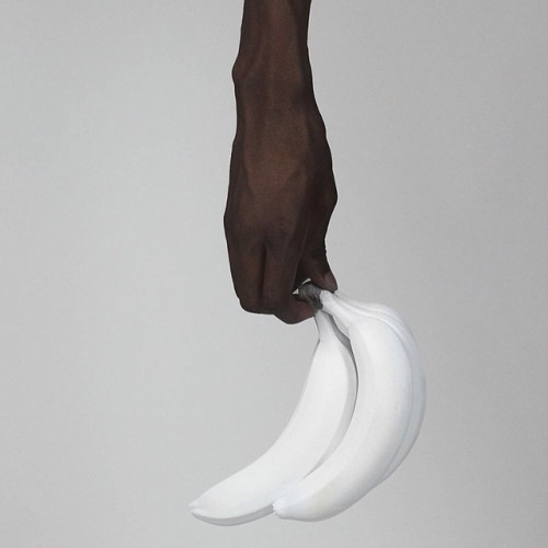 Archillect ID 82343