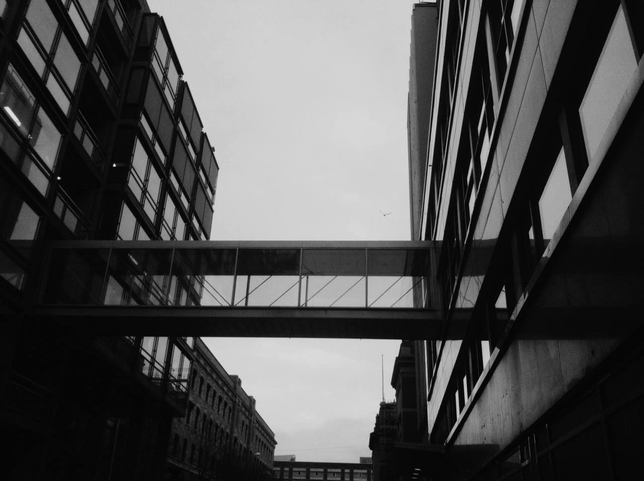 Archillect ID 82458