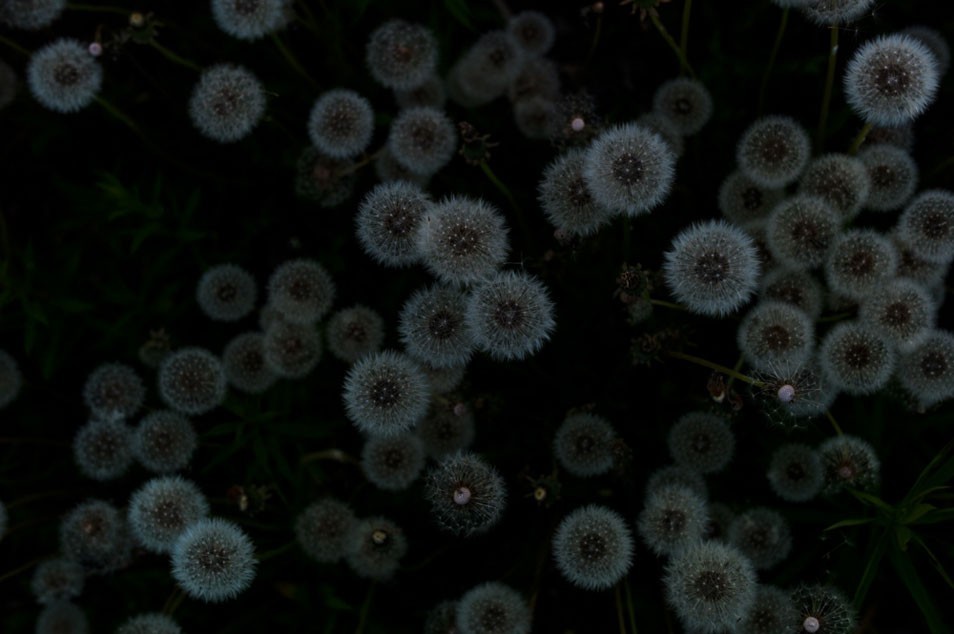 Archillect ID 82476