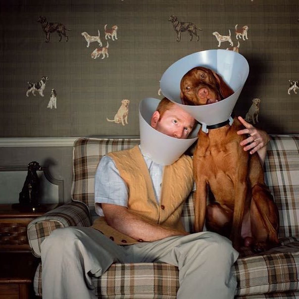 Archillect ID 82491