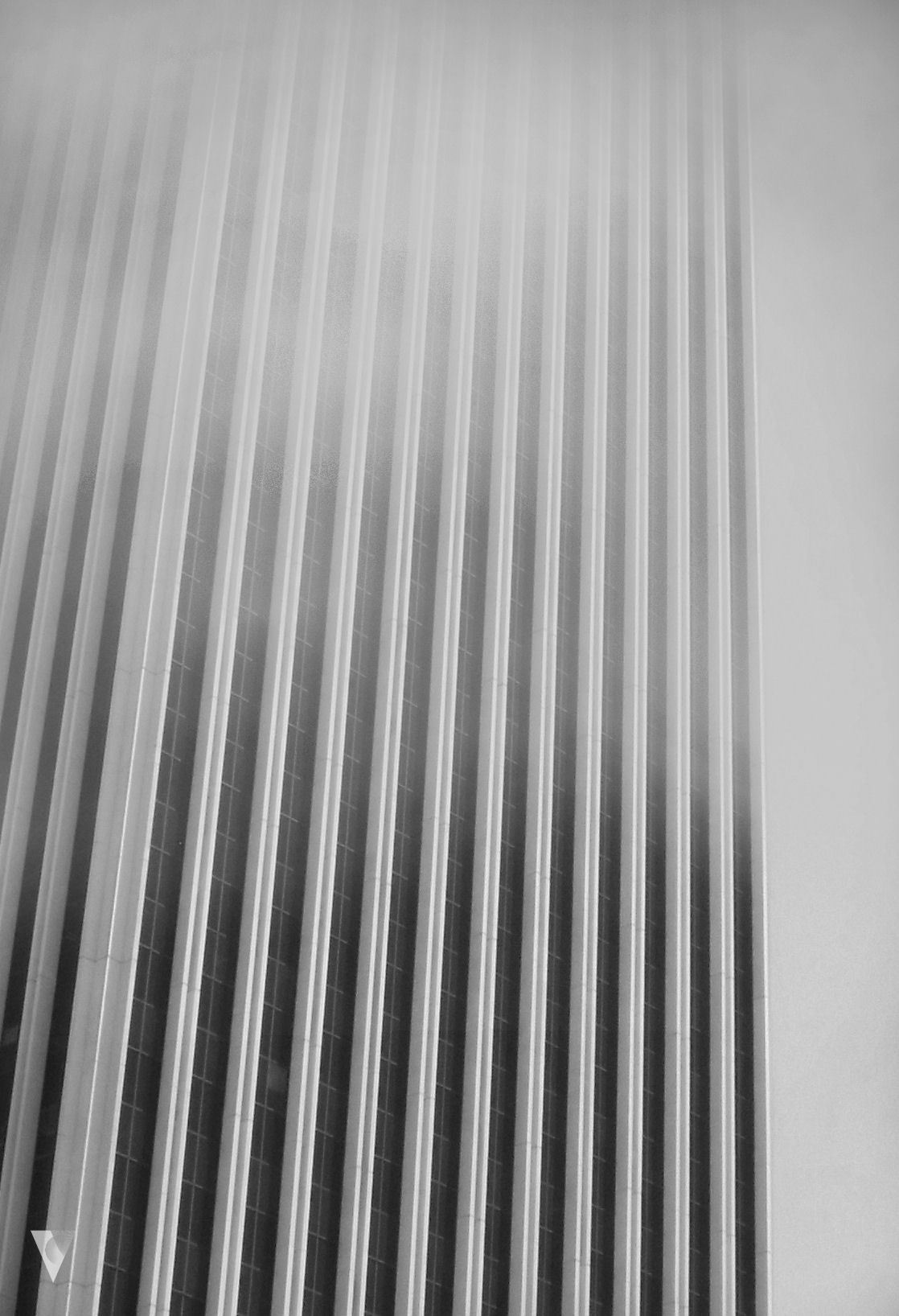 Archillect ID 82572