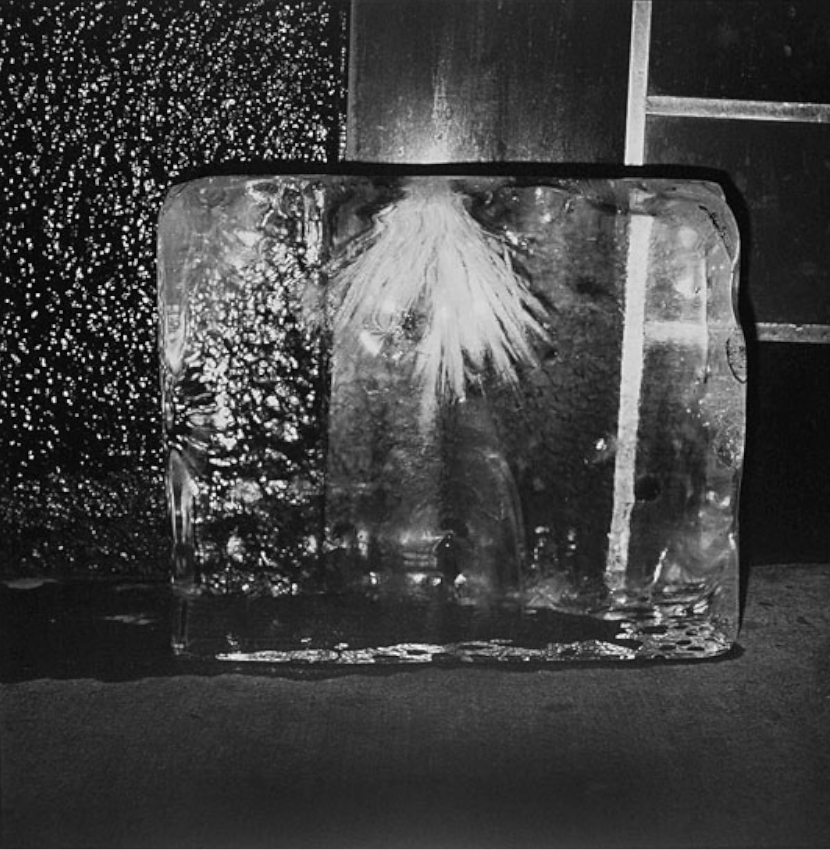 Archillect ID 82602