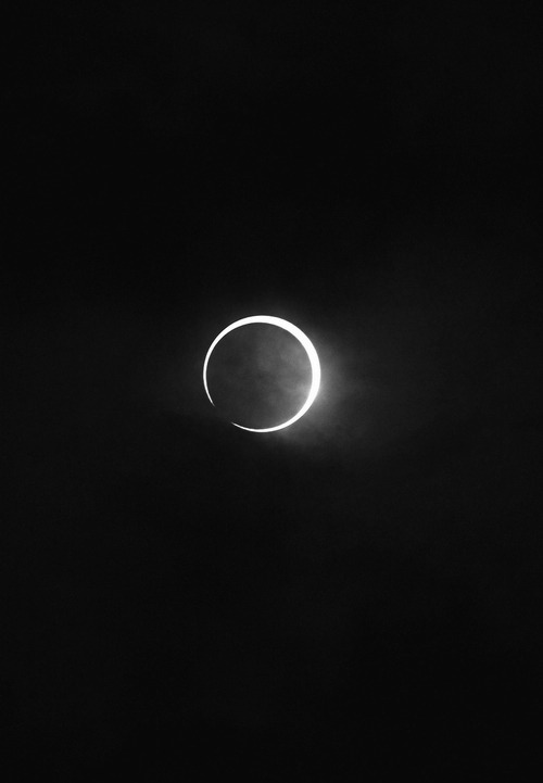 Archillect ID 82644