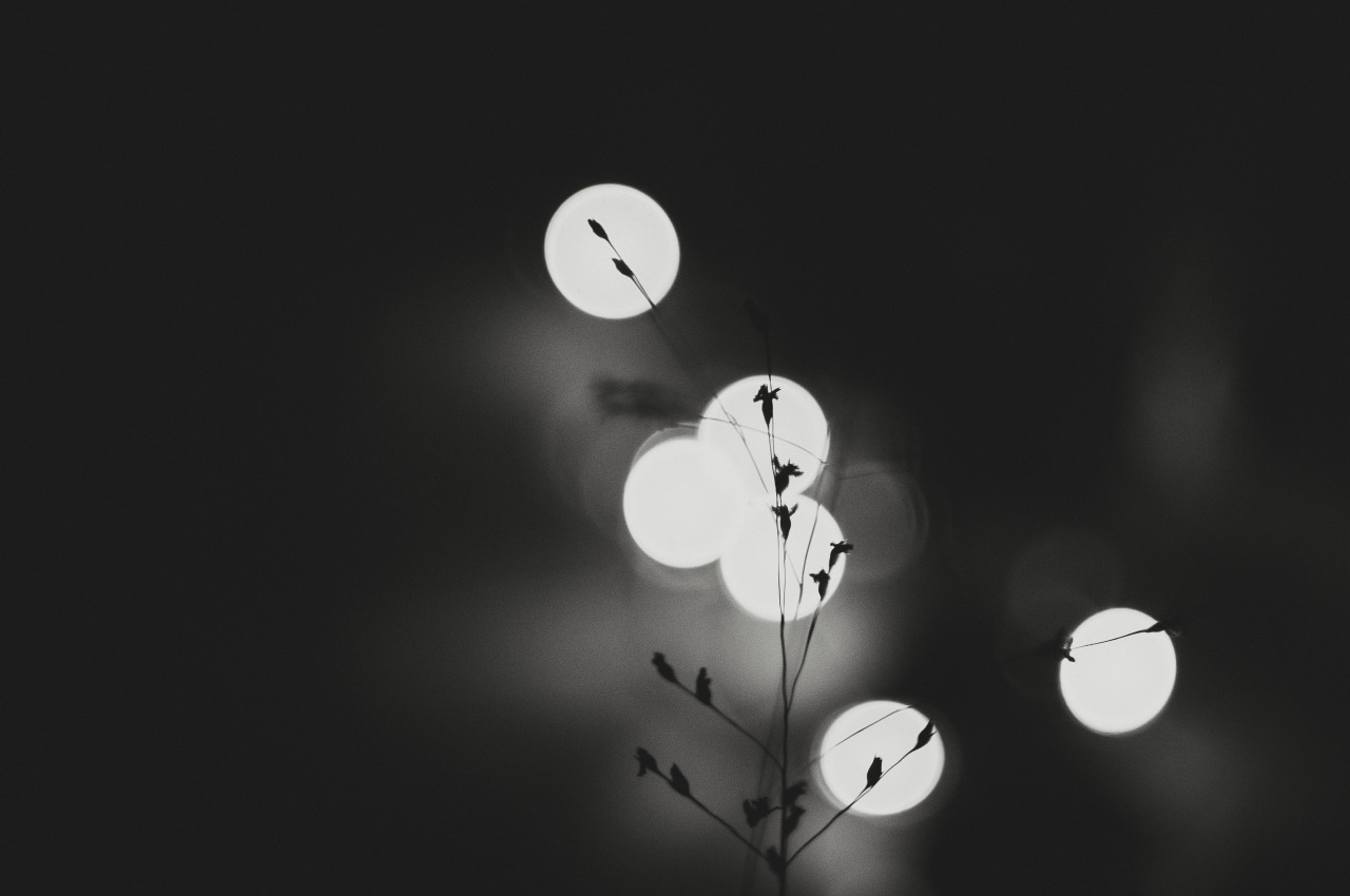 Archillect ID 82741