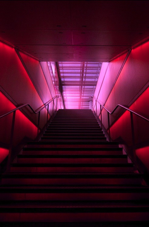 Archillect ID 82807
