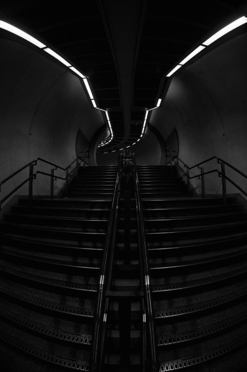 Archillect ID 82874