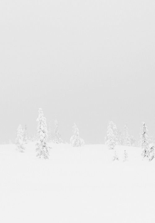 Archillect ID 82924