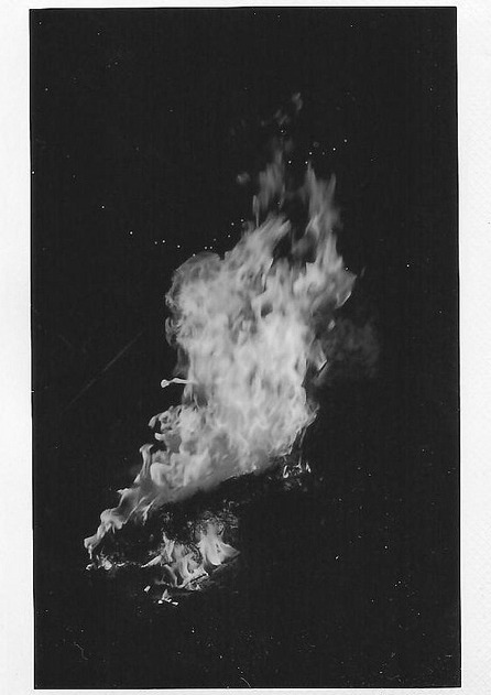 Archillect ID 83145