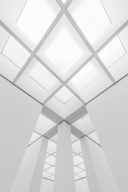 Archillect ID 83325