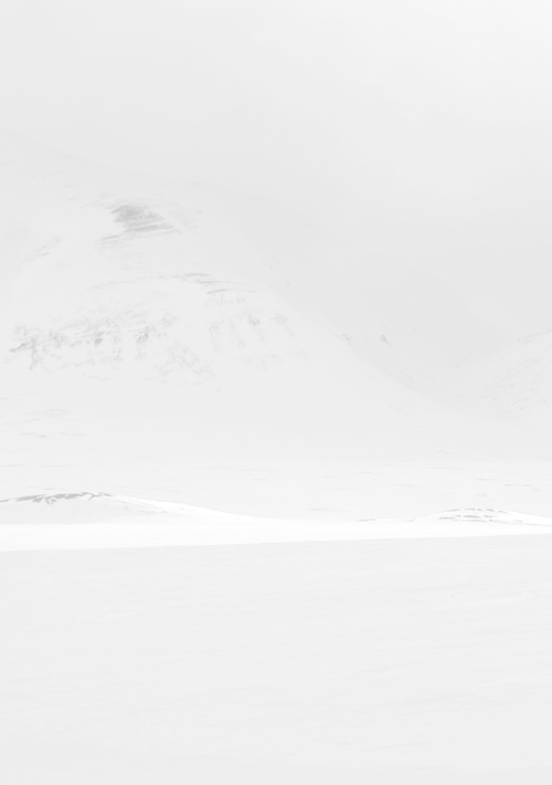 Archillect ID 83342
