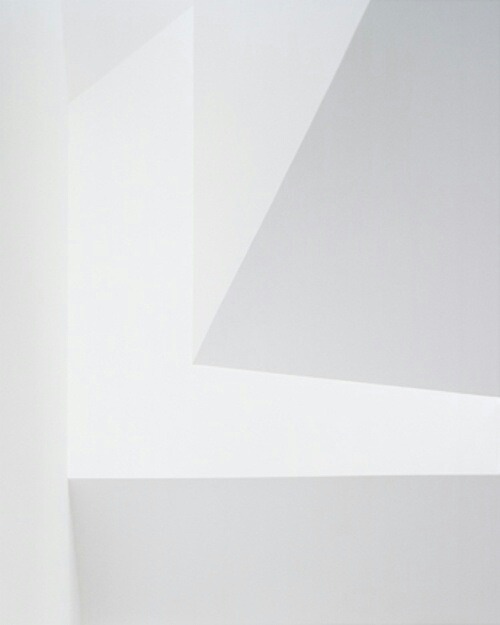 Archillect ID 83376