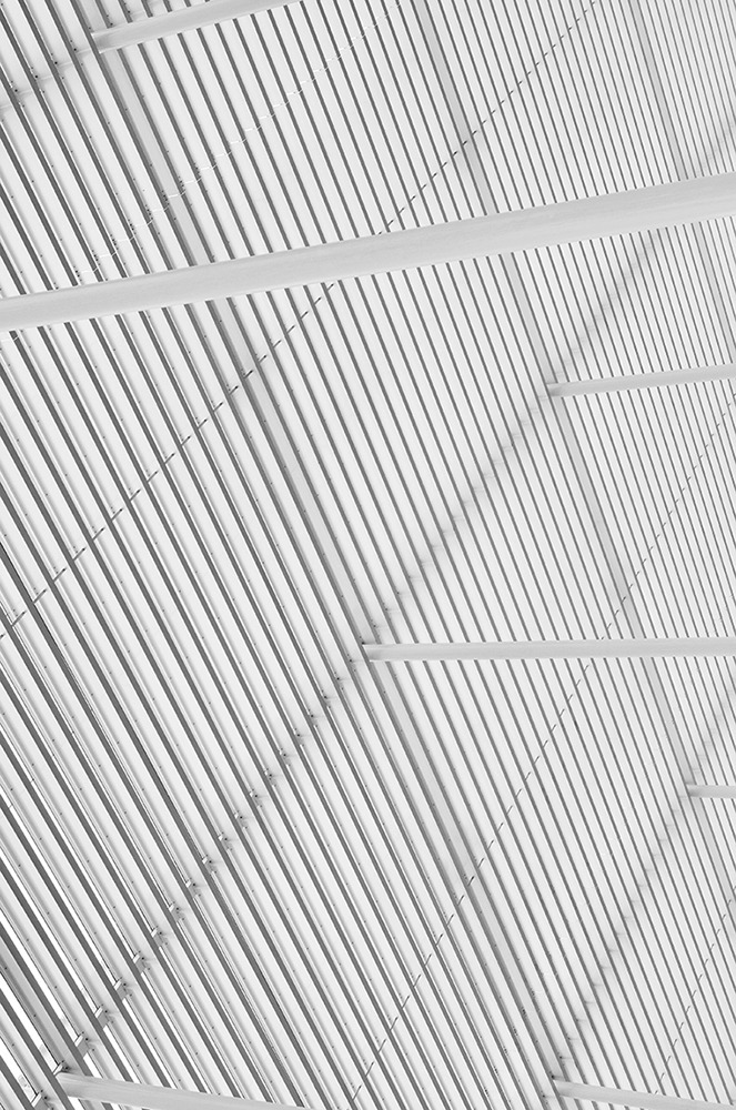 Archillect ID 83396