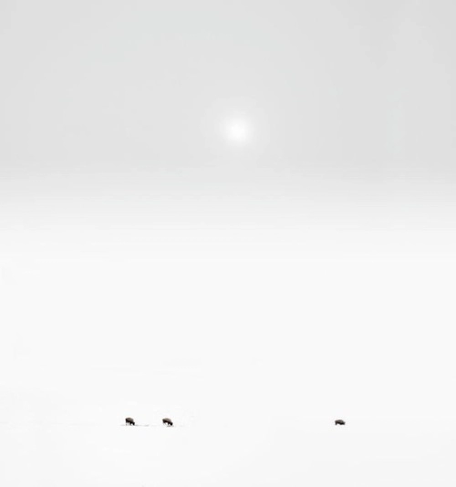 Archillect ID 83645