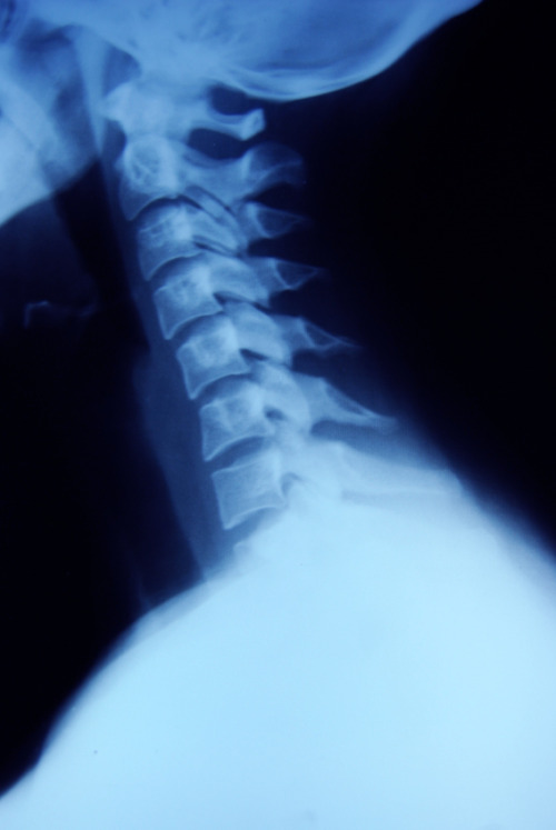 Archillect ID 83667