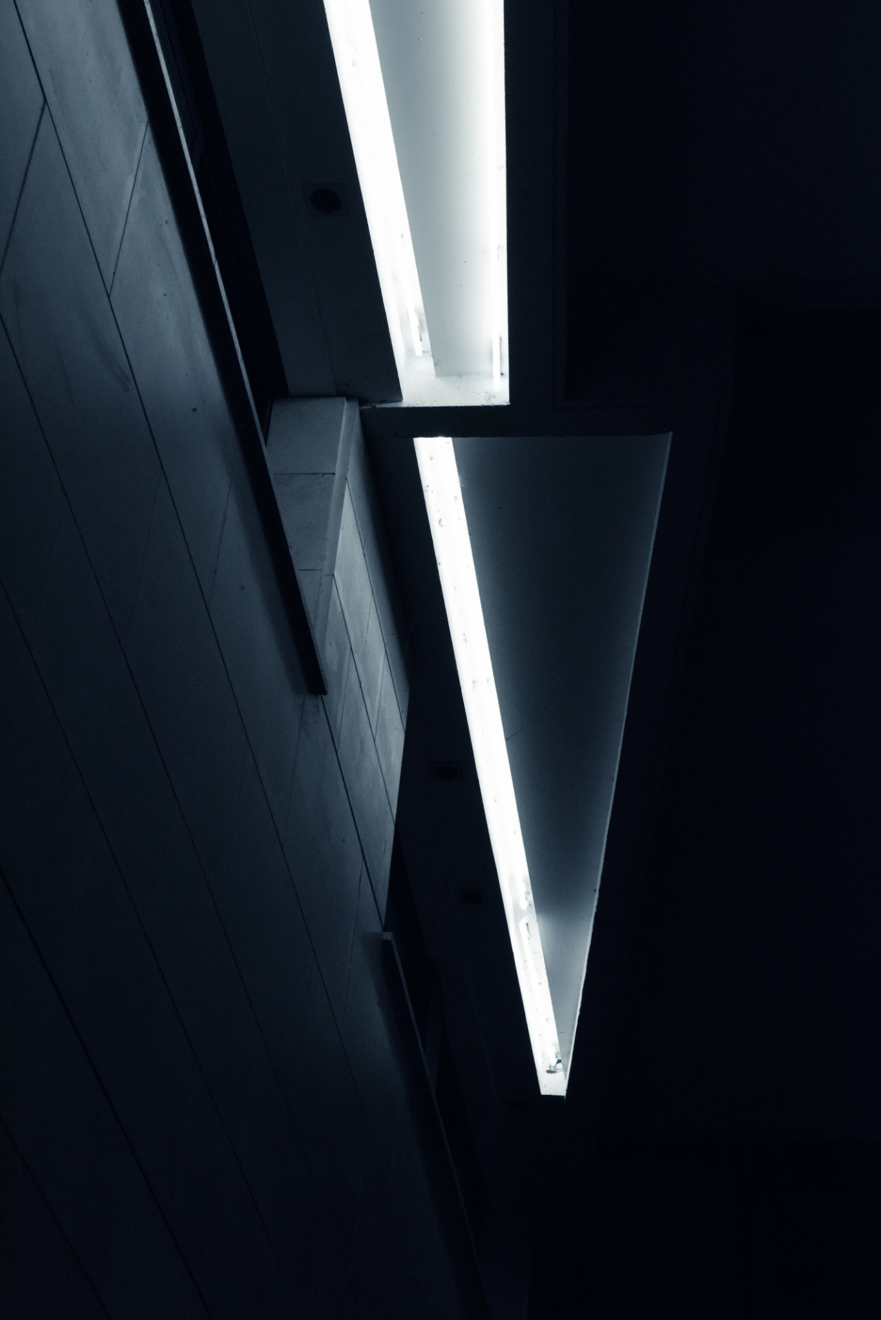 Archillect ID 83761