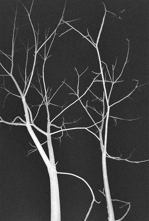 Archillect ID 83779