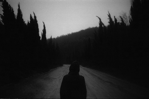 Archillect ID 83808