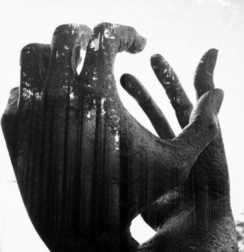 Archillect ID 84023