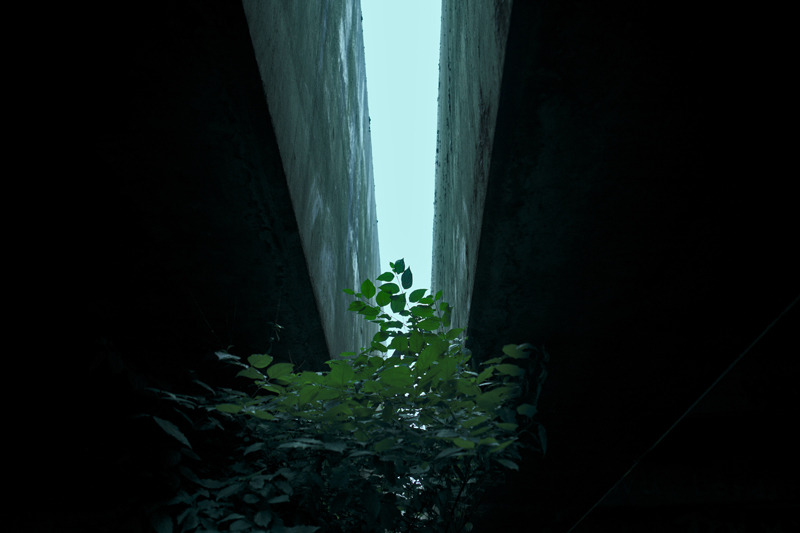 Archillect ID 84067