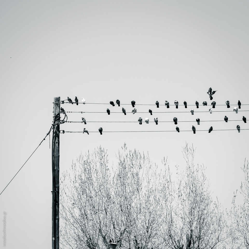 Archillect ID 84213