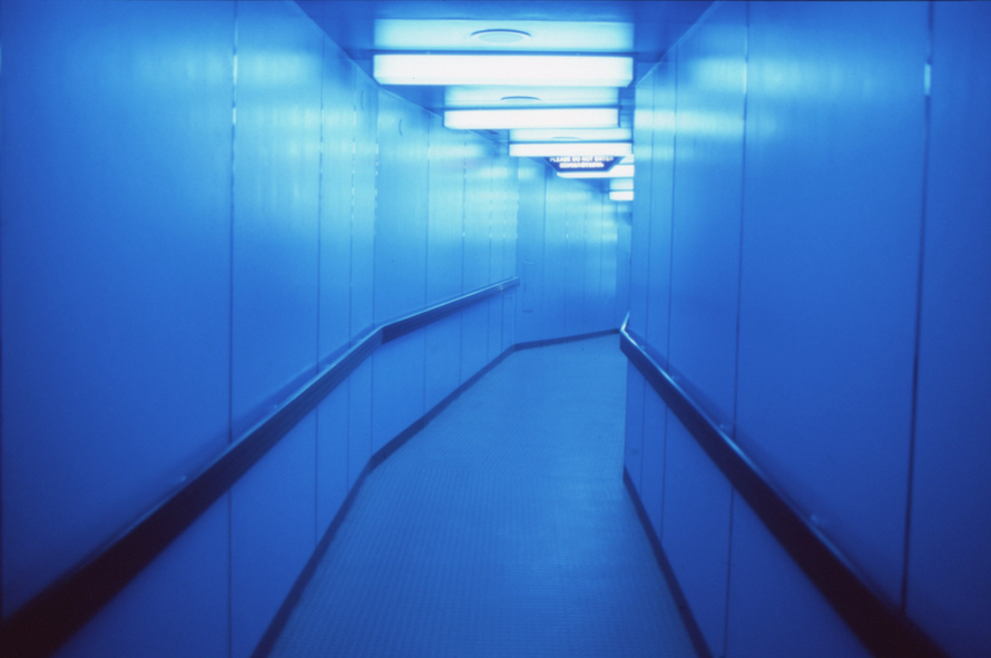 Archillect ID 84234