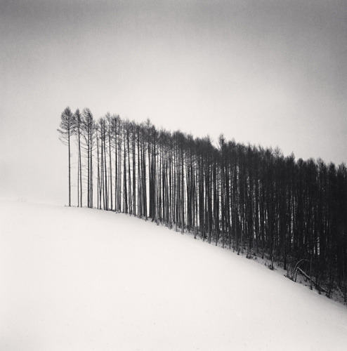 Archillect ID 84274