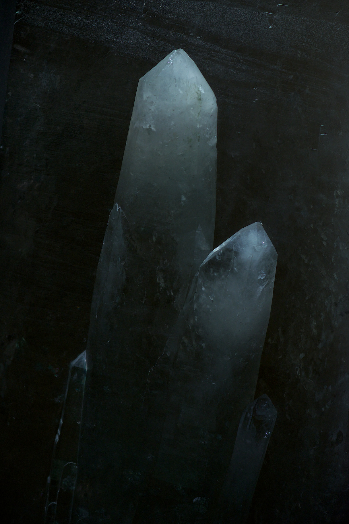 Archillect ID 84284