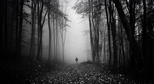 Archillect ID 84311