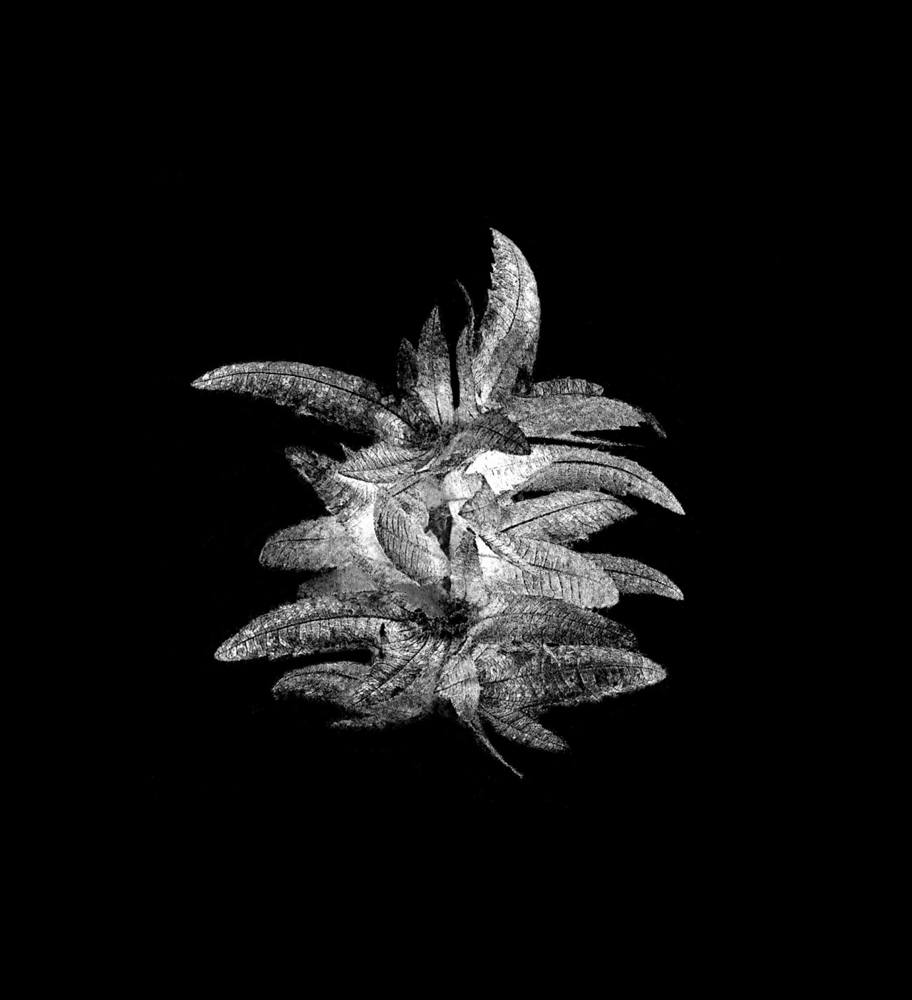 Archillect ID 84441