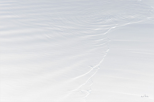 Archillect ID 84456